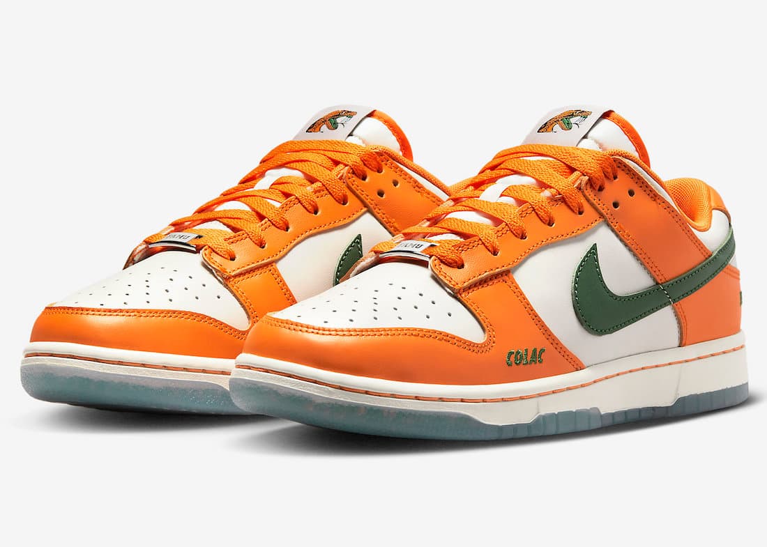 Florida A&M x NikeDunkLow