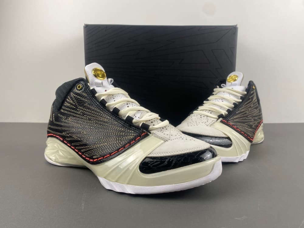 Air Jordan 23